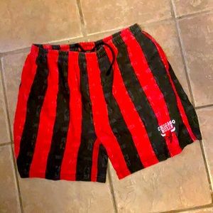 Vintage Bulls Shorts by Magic Johnson Tees 90s L